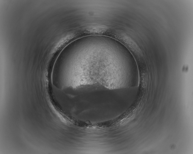 X0000097610634200802291303