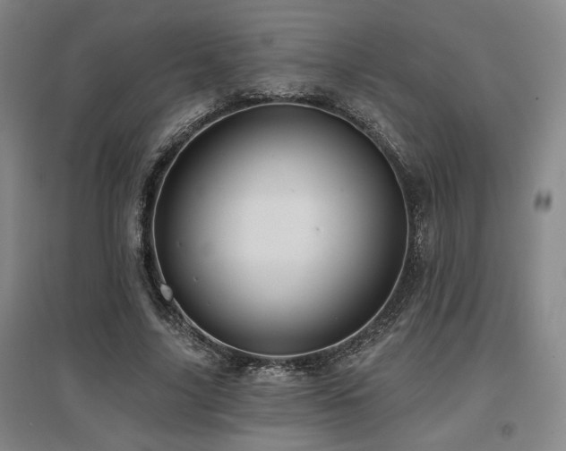 X0000097610635200802291303