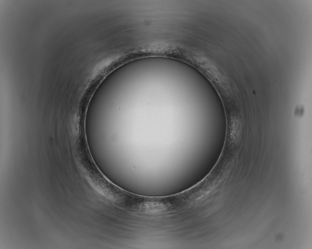 X0000097610636200802291303