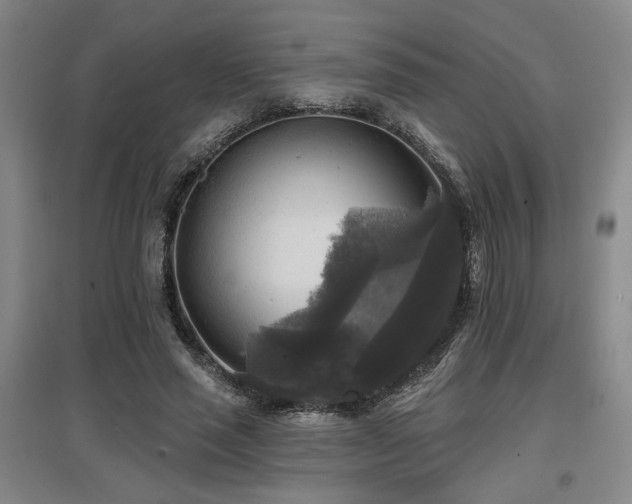 X0000097610637200802291303