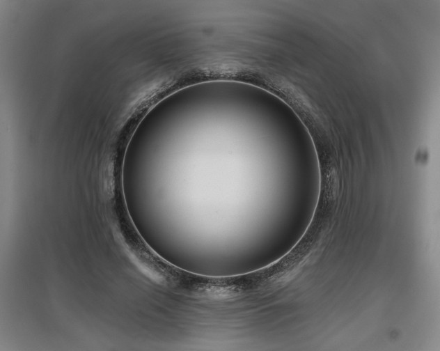 X0000097610638200802291303