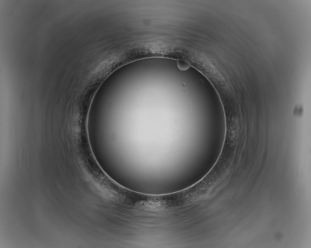 X0000097610639200802291303