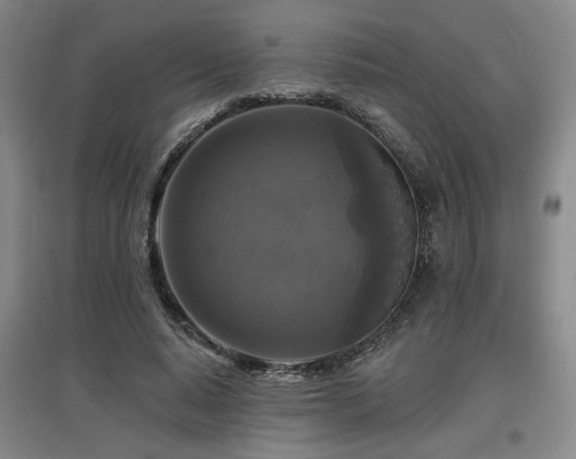 X0000097610640200802291303