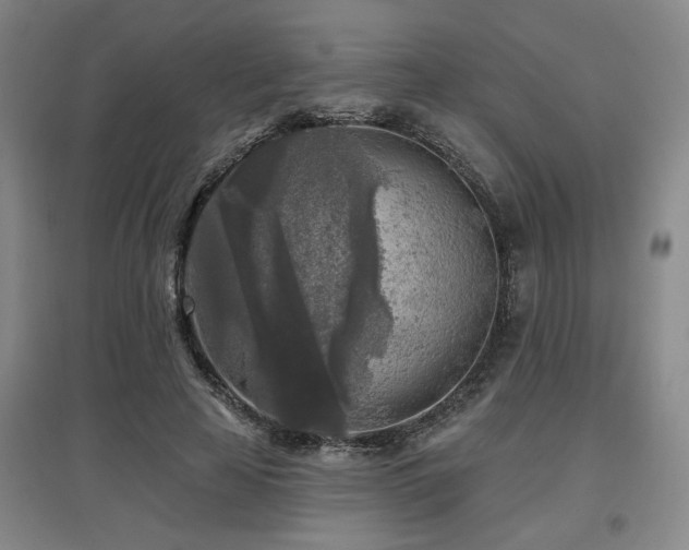 X0000097610641200802291303
