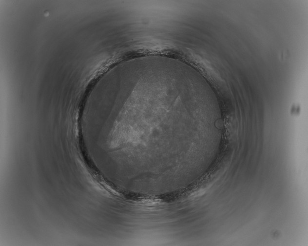 X0000097610642200802291303