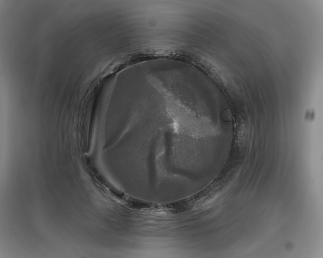 X0000097610643200802291303