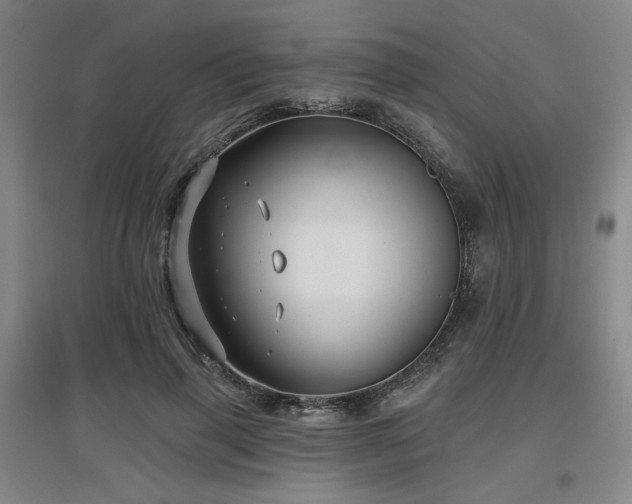 X0000097610645200802291303