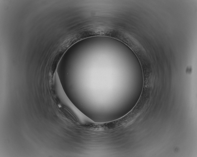 X0000097610646200802291303