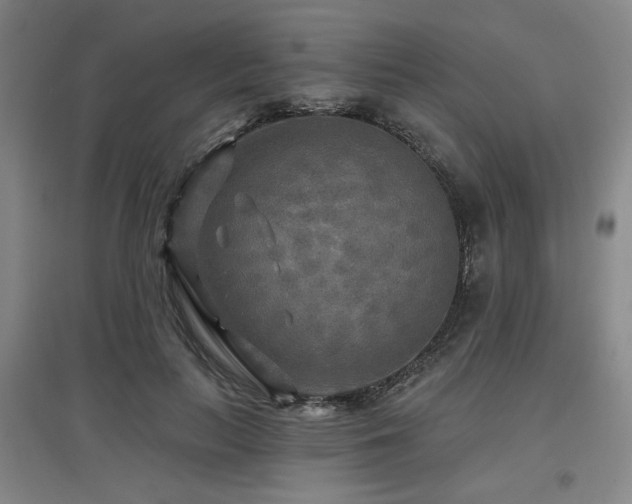 X0000097610647200802291303