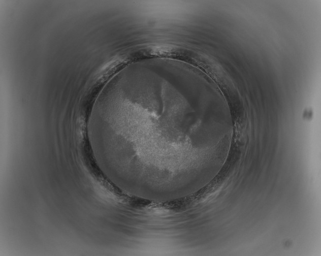 X0000097610648200802291303