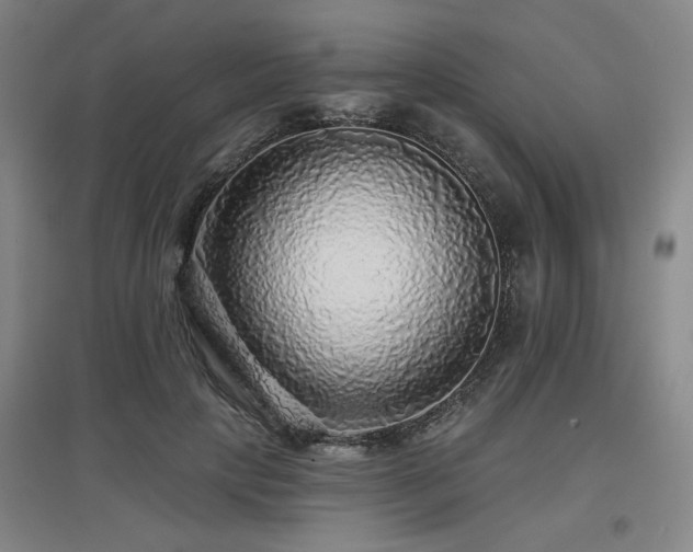 X0000097610649200802291303
