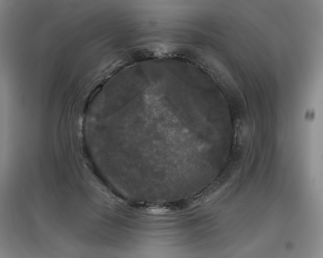 X0000097610650200802291303