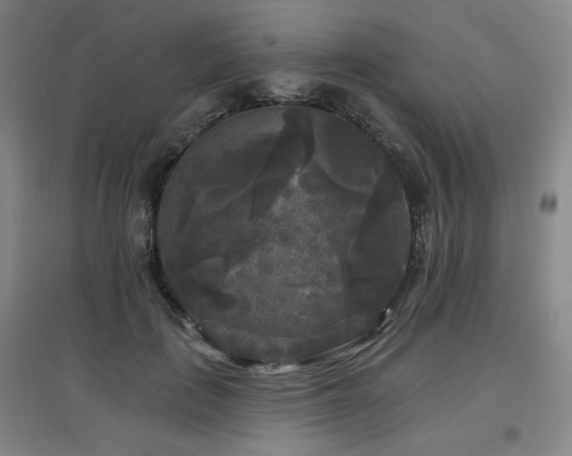 X0000097610651200802291303
