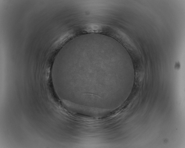 X0000097610652200802291303