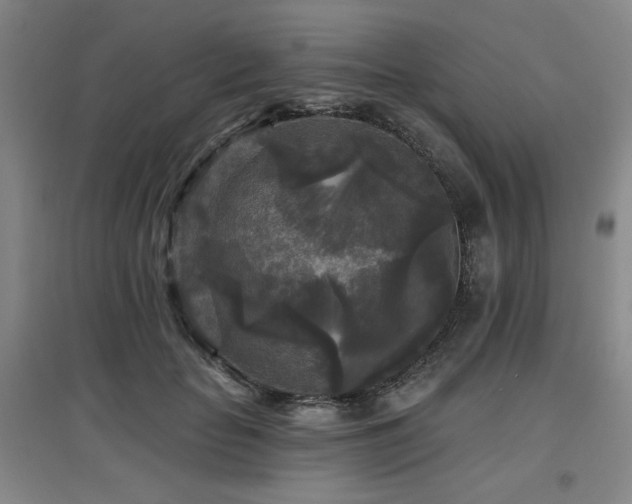 X0000097610653200802291303