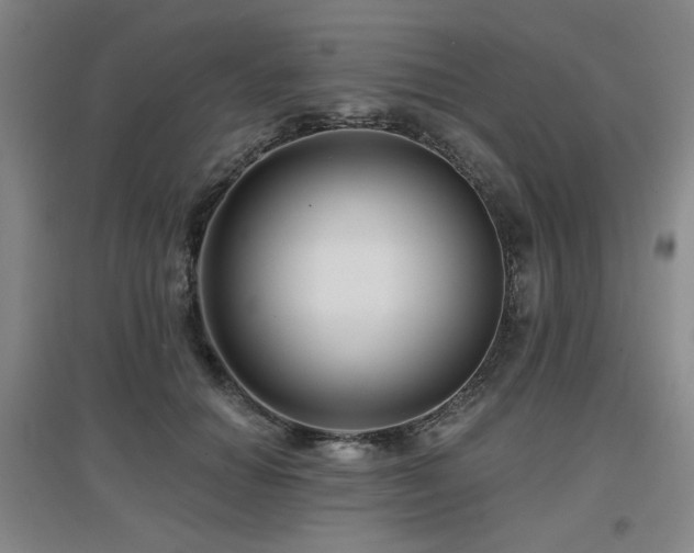 X0000097610654200802291303