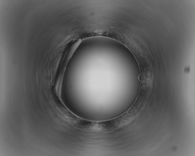 X0000097610656200802291303