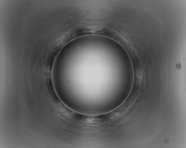X0000097610657200802291303