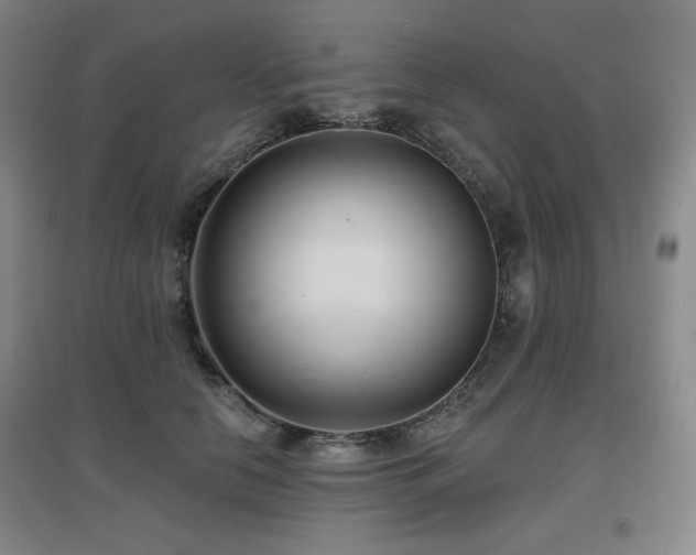 X0000097610658200802291303