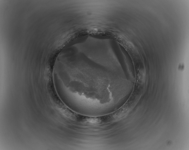 X0000097610659200802291303