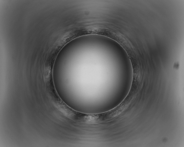 X0000097610660200802291303