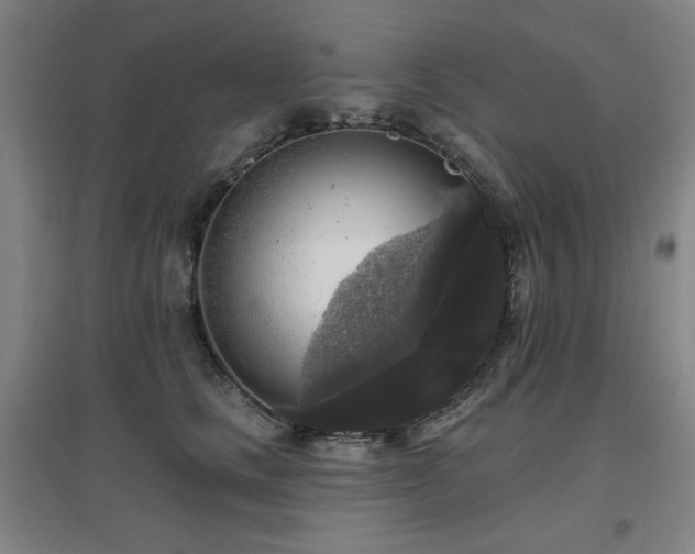 X0000097610661200802291303