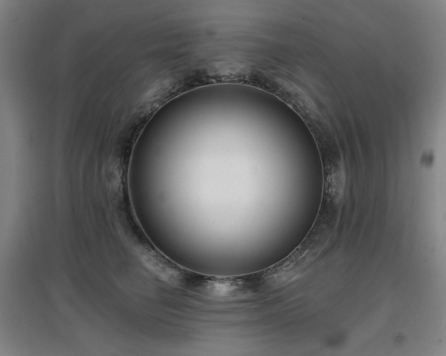 X0000097610662200802291303