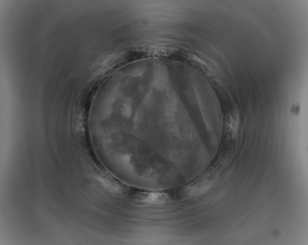 X0000097610663200802291303