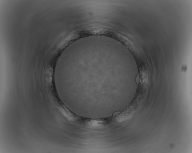 X0000097610664200802291303