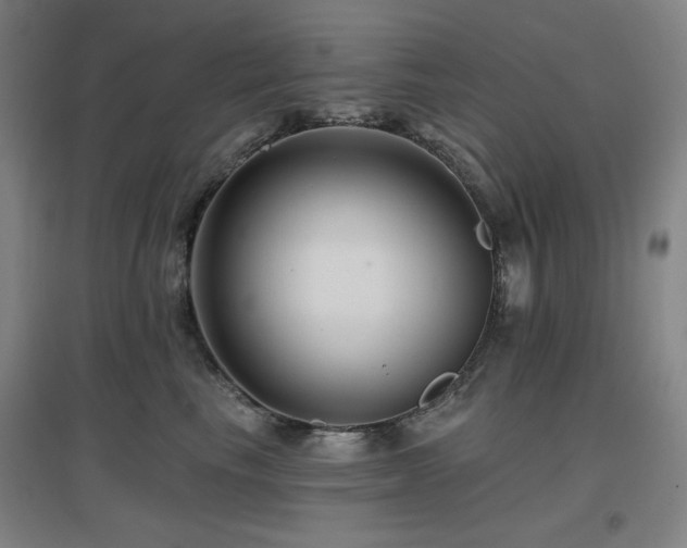 X0000097610665200802291303