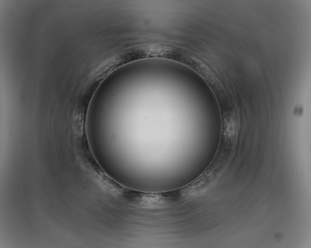 X0000097610666200802291303