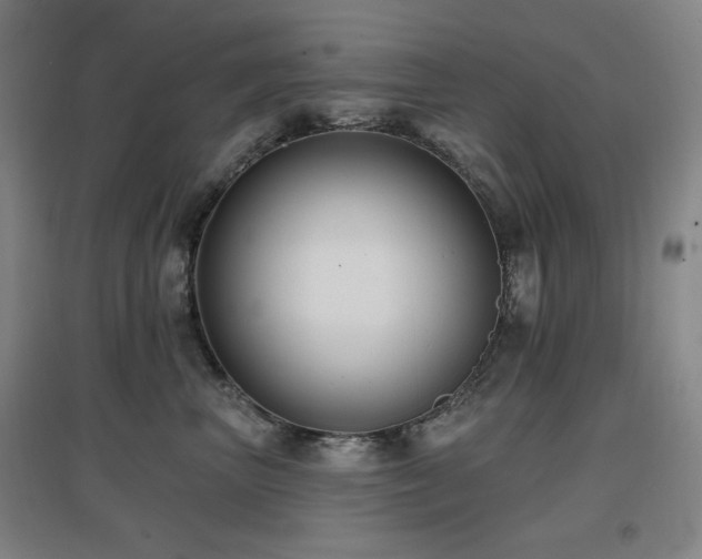 X0000097610667200802291303