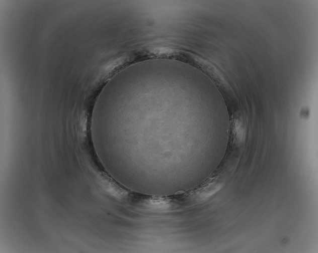 X0000097610668200802291303