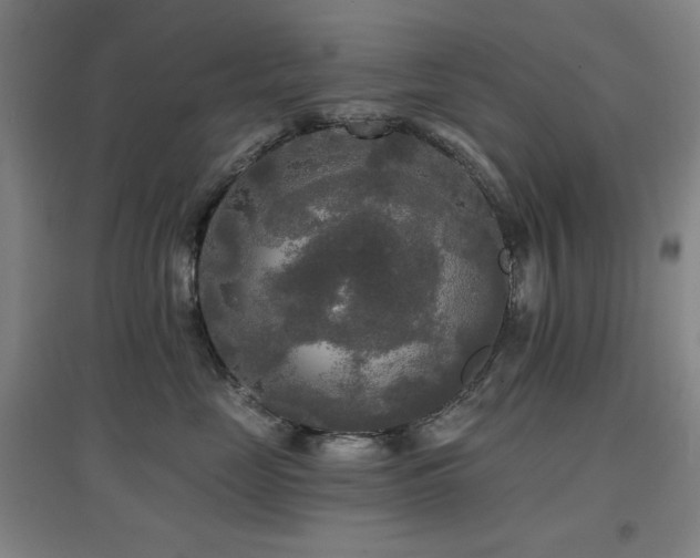 X0000097610669200802291303