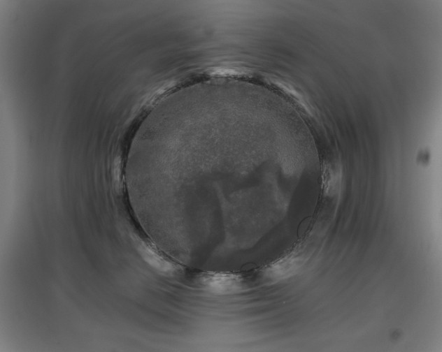 X0000097610670200802291303