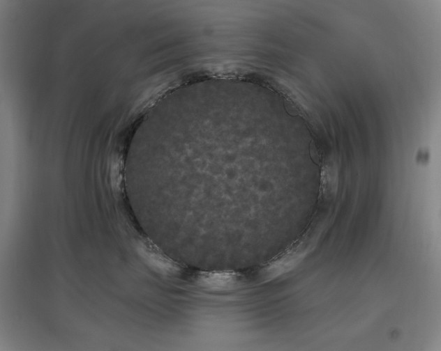 X0000097610671200802291303