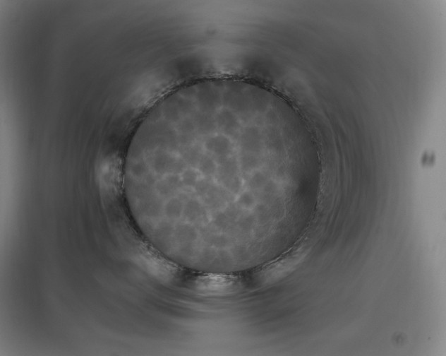 X0000097610672200802291303