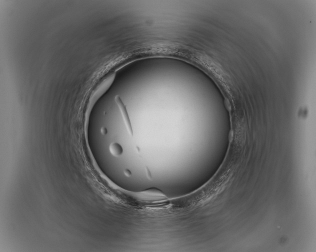 X0000097610673200802291303