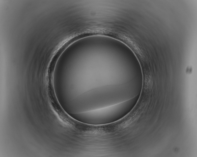 X0000097610674200802291303