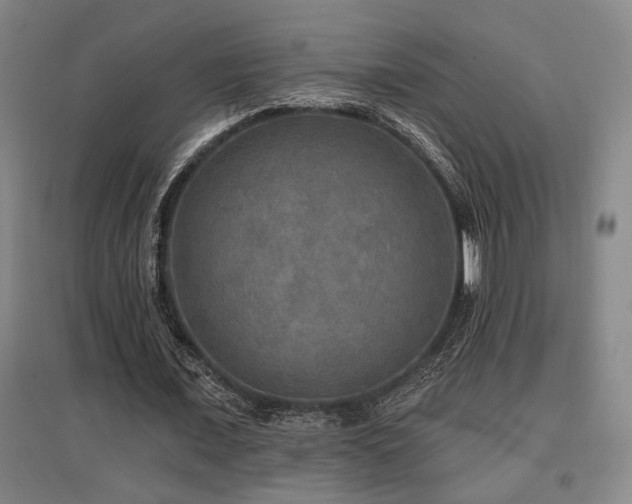 X0000097610675200802291302