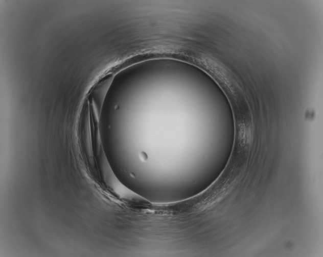 X0000097610676200802291302
