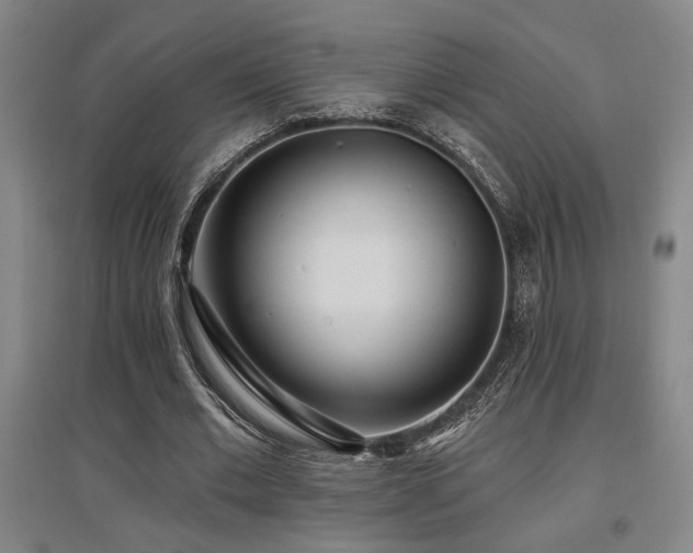 X0000097610677200802291302