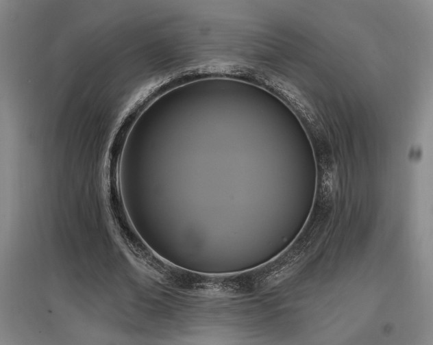 X0000097610678200802291302