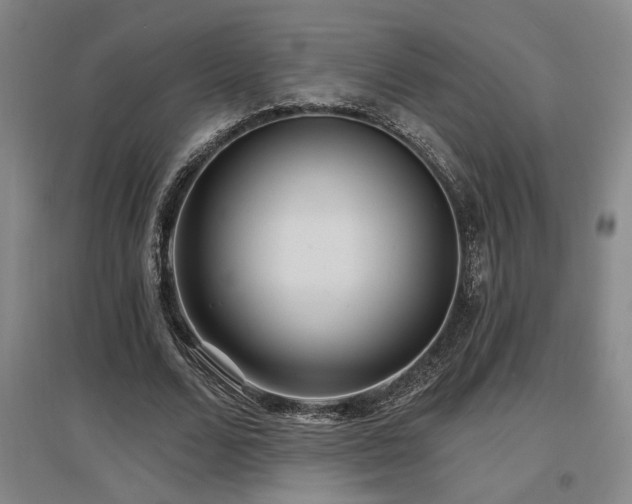 X0000097610680200802291302
