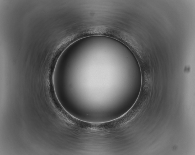 X0000097610681200802291302