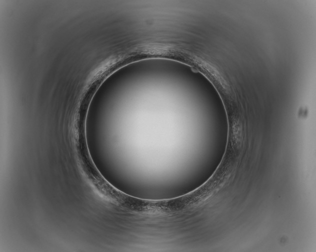 X0000097610682200802291302