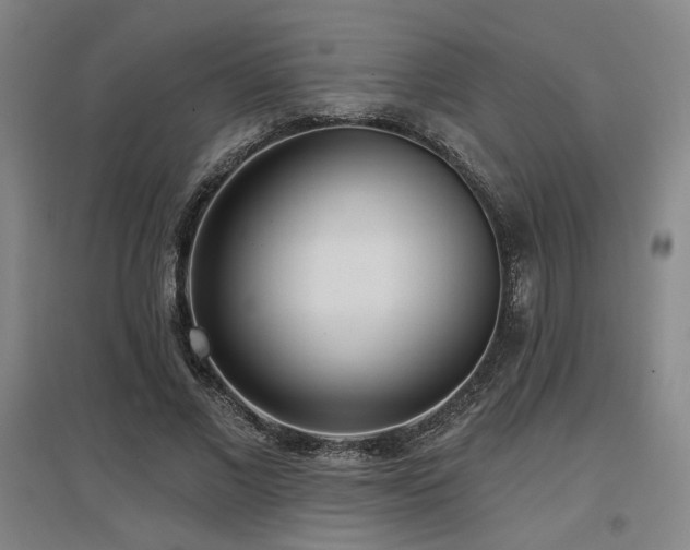 X0000097610685200802291302