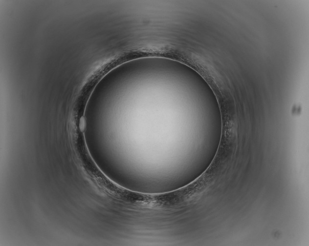 X0000097610688200802291302