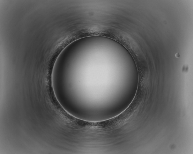 X0000097610689200802291302
