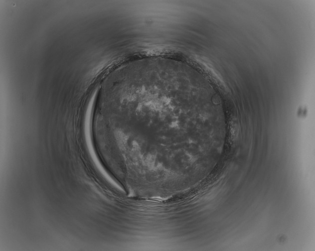 X0000097610691200802291302